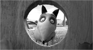 Sparky Sparky, héros de Frankenweenie