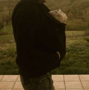 Départ en balade./ Photo DR Lexie Swing