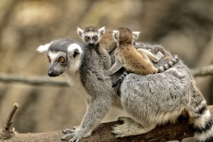 "Y'a quelqu'un qui te suit"./ Photo Eric Kilby