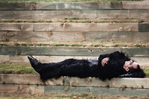 Homme ou gorille?/ Photo Juanedc