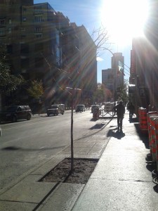 Rue Peel./ Photo DR Lexie Swing