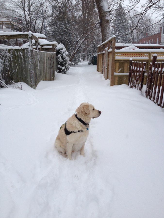 Eleven./ Photo DR Lexie Swing