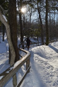 Sentiers./ Photo DR Lexie Swing