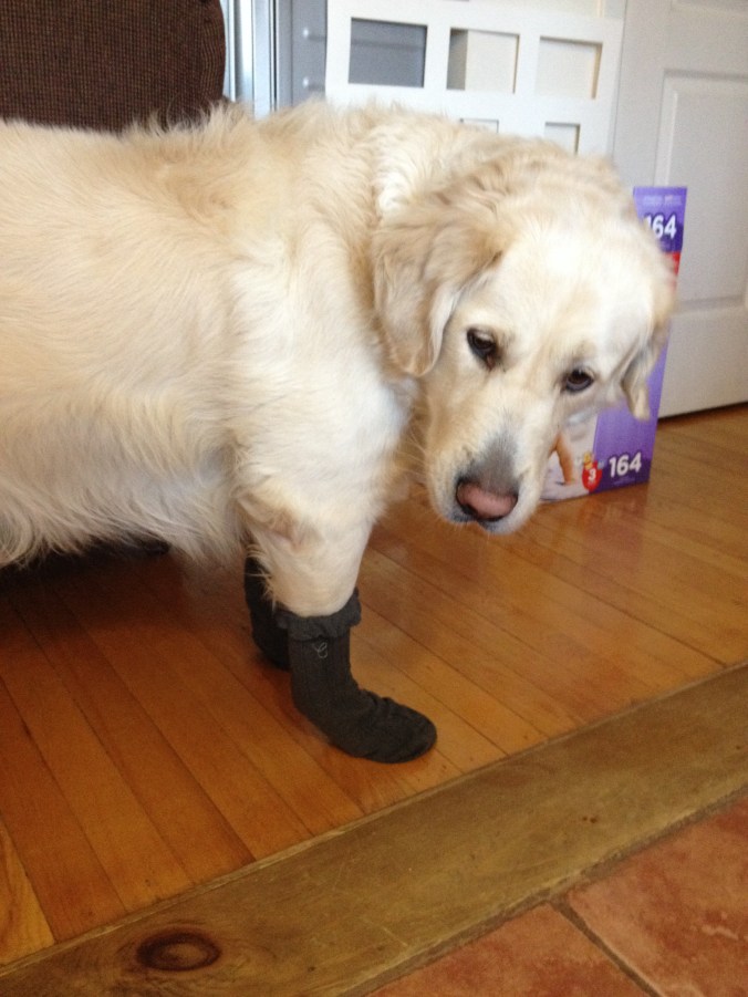 Eleven./ Photo DR Lexie Swing