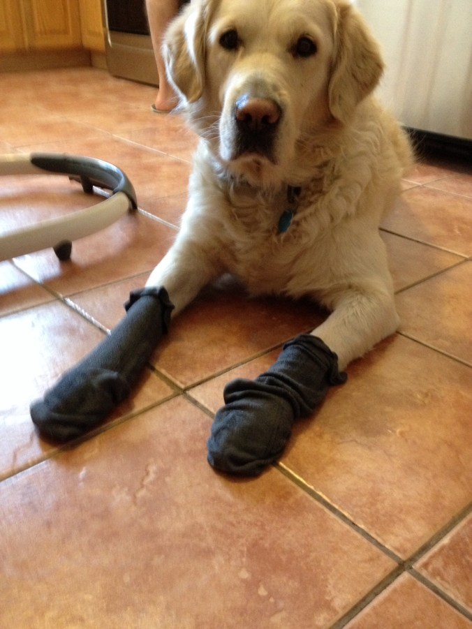 Eleven./ Photo DR Lexie Swing