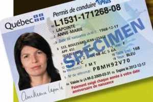 Carte de permis québécois./