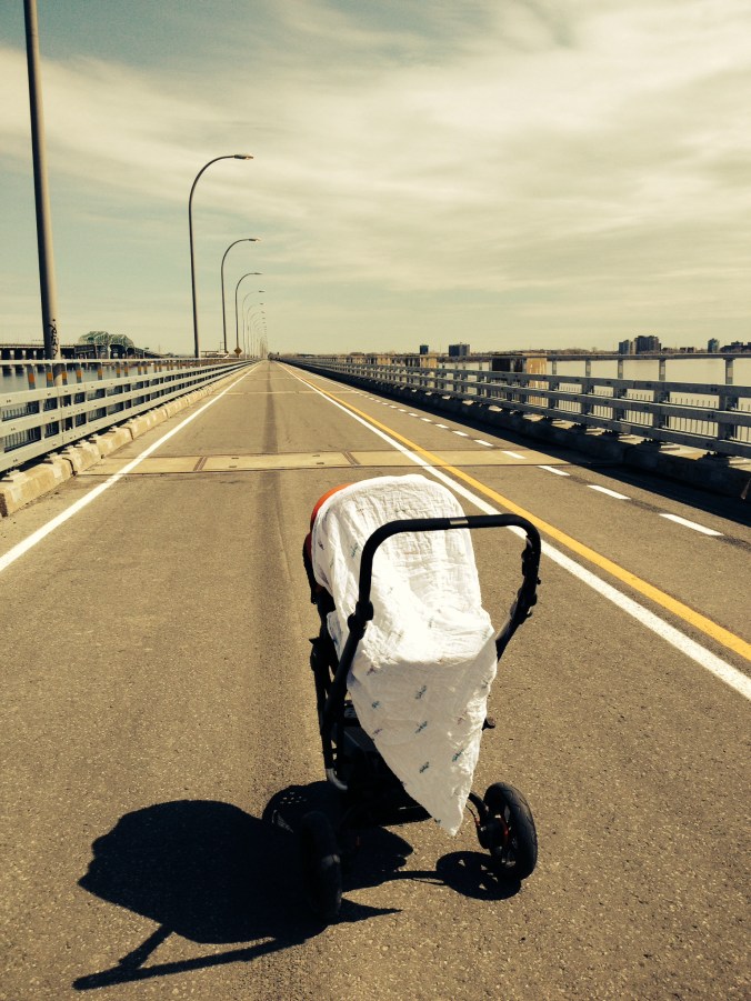 ./ Photo DR Lexie Swing