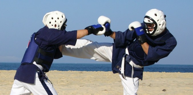 Yoseikan Budo./ Photo Yoseikan Bordeaux