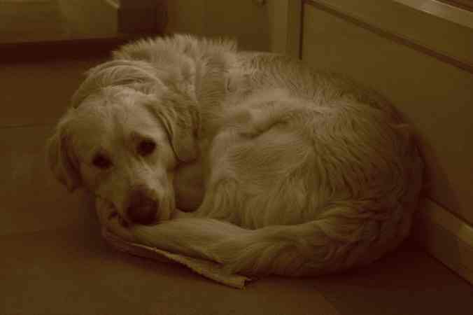 Eleven./ Photo DR Lexie Swing