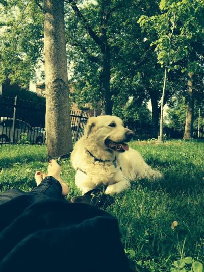 Eleven au parc./ Photo DR Lexie Swing