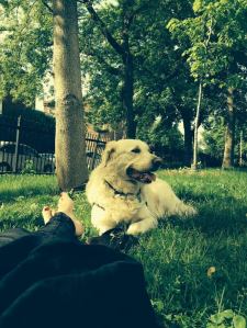 Eleven au parc./ Photo DR Lexie Swing