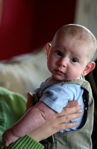 Terrible two./ Photo Terry Johnston 