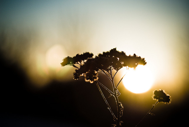 Estampillée "first time" sur Flikr./ Sean McGrath