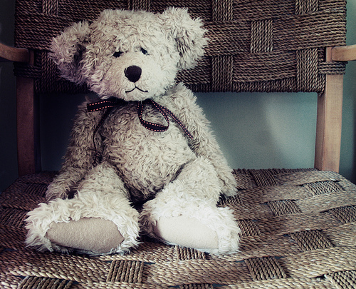 Teddy Bear./ Photo Caroline