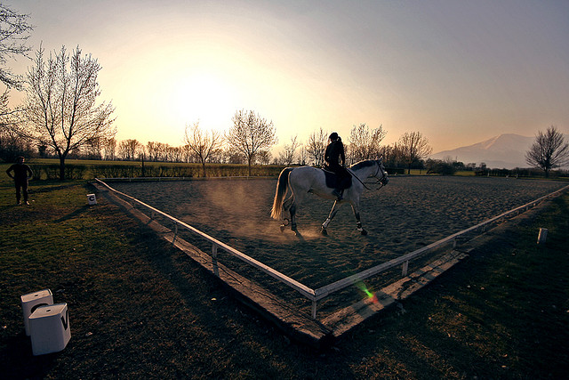 Dressage au crépuscule./ Photo   Edoardo Costa