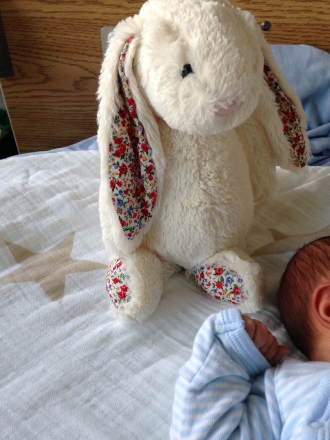 Une petite lionne d'août./Photo DR Lexie Swing