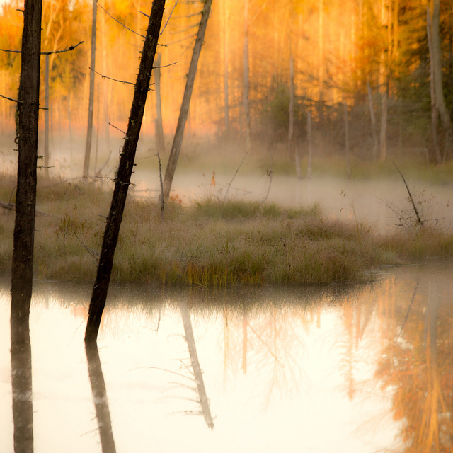Autmone./ Photo Denis Collette