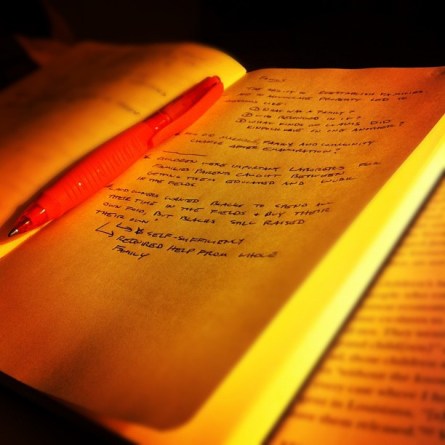 Late writing./ Photo Terry Brock