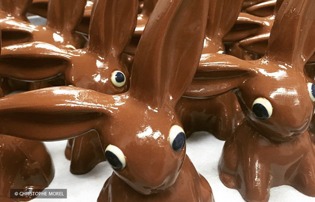 Les lapins de Christophe Morel./ Photo CM