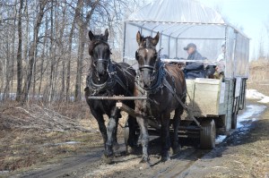 ./ Photo DR Lexie Swing