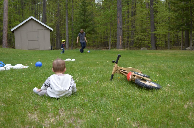 ./ Photo DR Lexie Swing