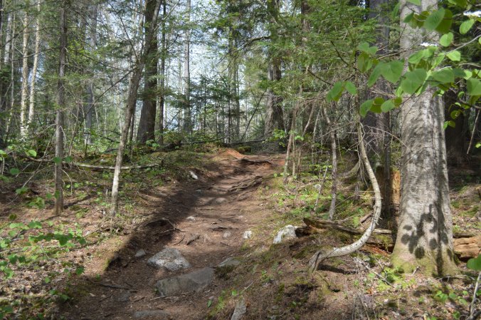 ./ Photo DR Lexie Swing