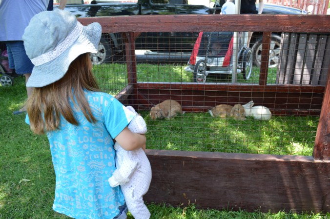 Les jolis lapins./ Photo DR Lexie Swing