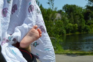 Tempête qui bronze d'un seul pied./ Photo DR Lexie Swing