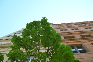 Belles façades./ Photo DR Lexie Swing