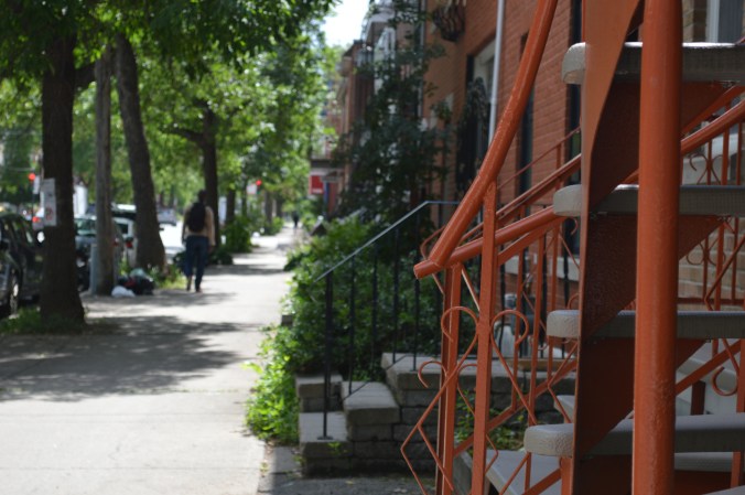 ./ Photo DR Lexie Swing