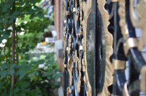 ./ Photo Dr Lexie Swing