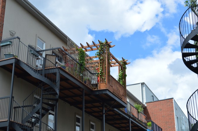 ./ Photo DR Lexie Swing