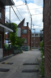 ./ Photo DR Lexie Swing