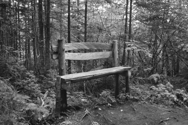 Baie des rochers./ Photo Dr Lexie Swing