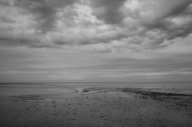 ./ Photo Dr Lexie Swing