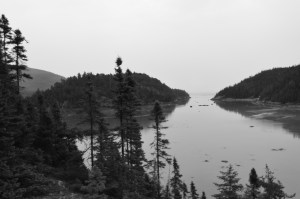 Baie des rochers./ Photo Dr Lexie Swing