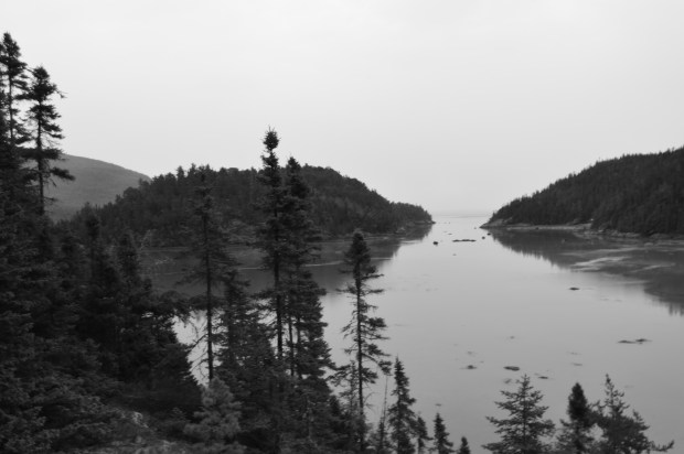 Baie des rochers./ Photo Dr Lexie Swing