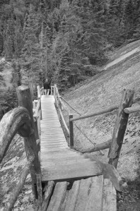 Baie des rochers./ Photo Dr Lexie Swing